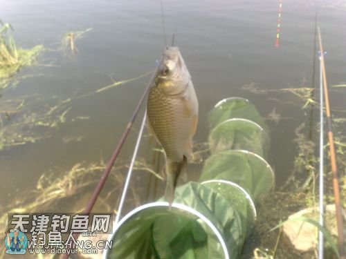 173125mkmkavuw1uh1fmmf.jpg 173125mkmkavuw1uh1fmmf.jpg