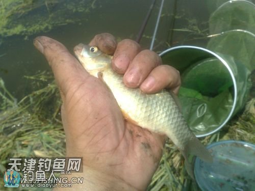 173133a0jvkxvg8xk2yjp0.jpg 173133a0jvkxvg8xk2yjp0.jpg