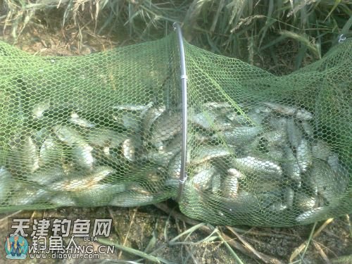 130246dtnvvztponqdvpst.jpg 130246dtnvvztponqdvpst.jpg