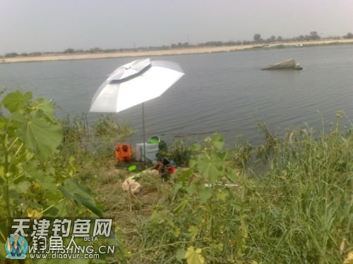 130132zg1x43pnpbll8id8.jpg 130132zg1x43pnpbll8id8.jpg