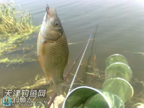 13014332ed2211w1gzu234.jpg 13014332ed2211w1gzu234.jpg