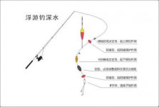 图解2种筏钓浮游深水钓无漂沉底钓的技巧