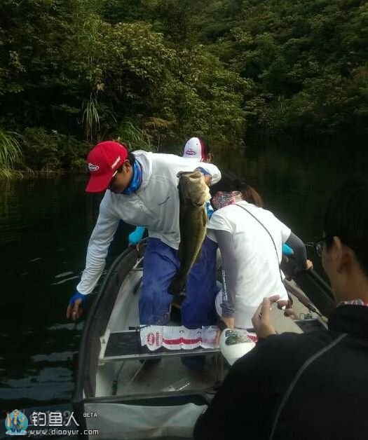 老虎路亚俱乐部组团路亚