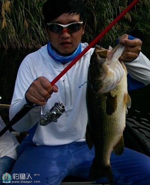 老虎路亚俱乐部