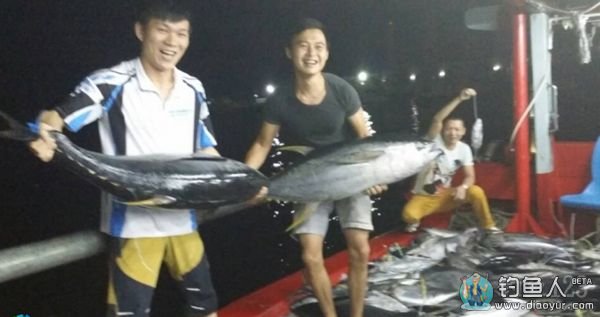 帕劳海钓金枪鱼