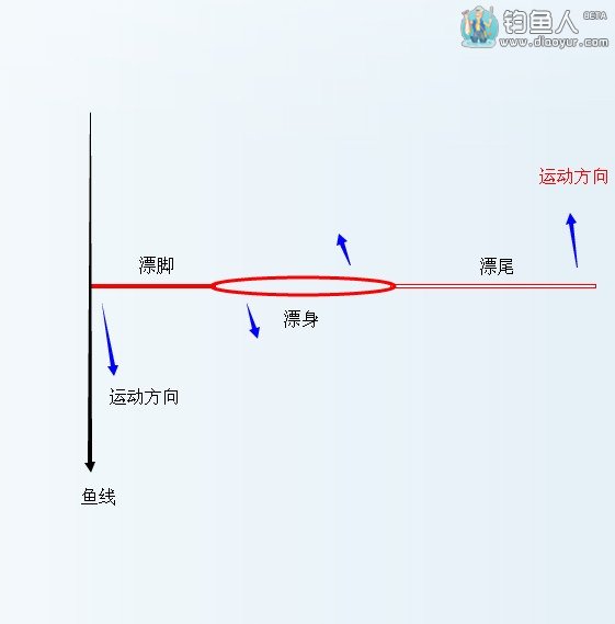 高手分享浮漂分类5部分的详细讲解 [图文]