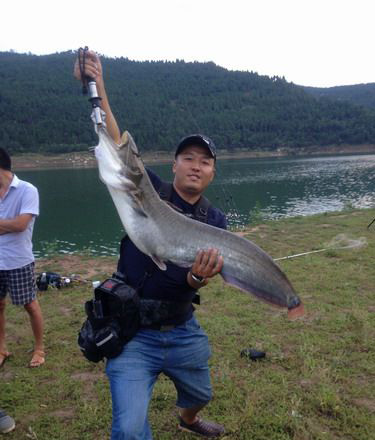 路亚到的大鲶鱼