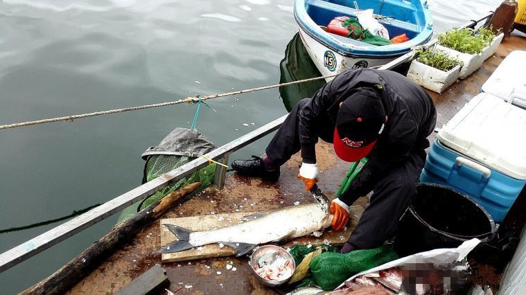 游钓万峰湖之行 筏钓狂拉大翘嘴爆护 - 钓鱼人