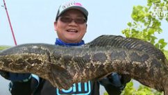 小汐路亚2015蓝旗鱼钓具贺新春钓鱼淡水篇 [视