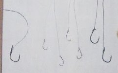1-1503161U001205-lp.jpg