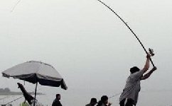 1-1504040U112432-lp.jpg