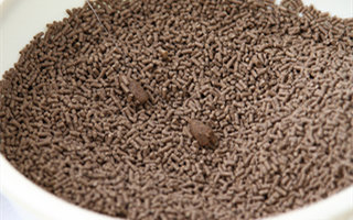 黑坑麻团钓法的饵料配置要点和应用技巧 - 钓鱼