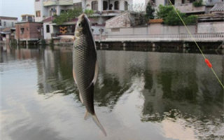 20160728174540VSiGTp.jpg