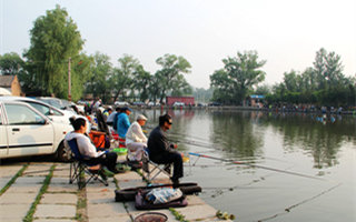 20160801161531W9Dpam.jpg