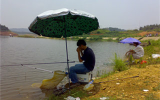 20160803184332jFDVcm.jpg