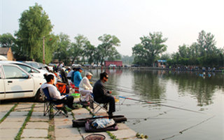 201608081810079rcvDi.jpg