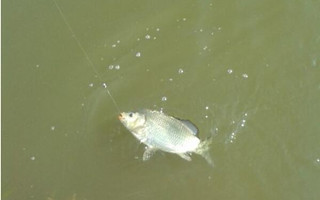 20160822120248yRgoIO.jpg