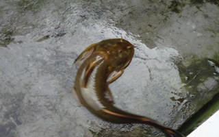 20160901180034XpDkFi.jpg