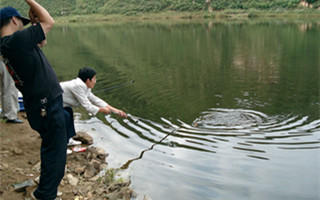 20160903161137eSkdpX.jpg