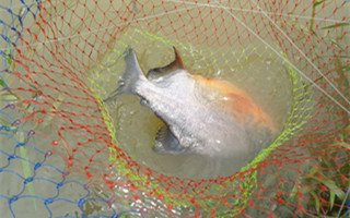 20160905122558KdN9Z2.jpg