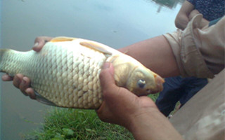 20160906145936bEuLxC.jpg