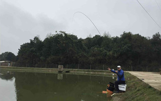 20160906182007b4ZYIG.jpg