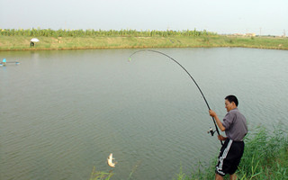 20160907190956aJh1Pt.jpg