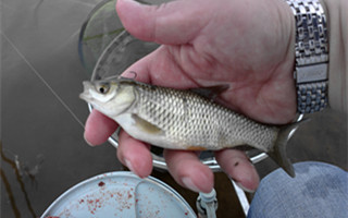 20160908205708rzGcAj.jpg