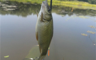 20160909183047VFYcJm.jpg