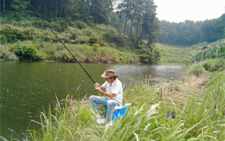 20160912180545IbmUJM.jpg