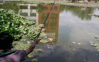 20160920224914BPgSNi.jpg