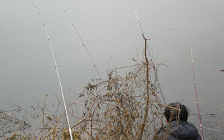 20161104143556R1LDnV.jpg
