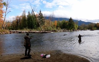 20161104194011GDHcv2.jpg
