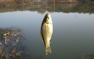 20161107131832IzkPBl.jpg