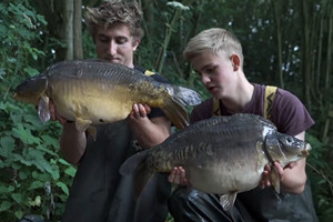 实拍世外桃源美丽溪流 野外游钓大鲤鱼 [视频]