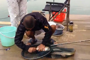 冬季筏竿黑坑钓鲤鱼 垂钓巨物技巧 [视频]