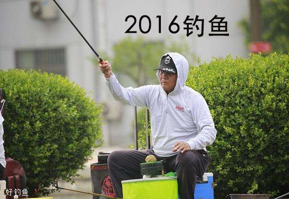 2016年的化老师出镜很频繁,化绍新全程冠名赞助中国垂钓电视直播精英