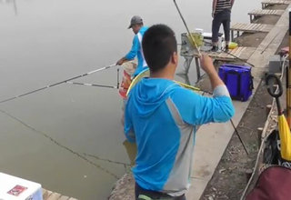 陪着地瓜去钓鱼之天津乐钓鲤鱼 [视频] - 钓鱼人