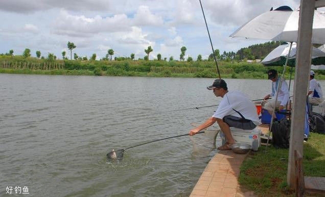 台钓中鱼线的性能对垂钓的影响 - 钓鱼人