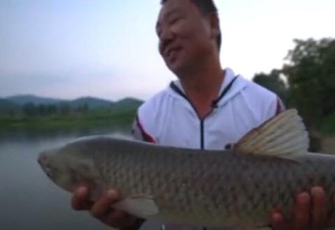 钩尖江湖之钓鱼的故事08 唯一一个把他钓懵了的地方 [视频] - 钓鱼人