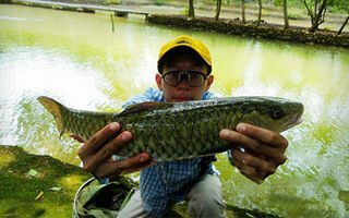 秋季桂林仙人潭自制毛钩飞蝇钓军鱼和草鱼 - 钓