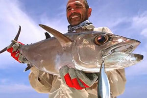 深海铁板船海钓钓获狗牙金枪鱼 [视频] - 钓鱼人