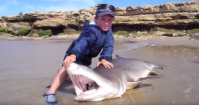 7岁小男孩在海边钓到一条大鲨鱼