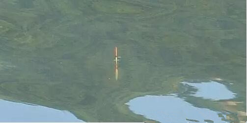 钓鱼调漂之精准调漂,看高手怎么说