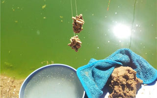 钓鱼达人参加黑坑比赛后技巧分析钓鱼方法 - 钓