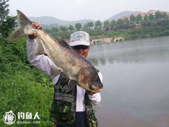 再谈手竿钓鲢鳙的四个实用技巧
