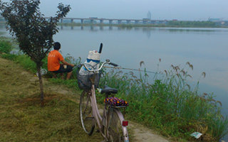 449-1604091R236408.jpg