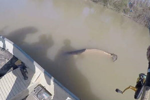 西班牙男子钓获2.2米巨型鲶鱼怪 [视频]