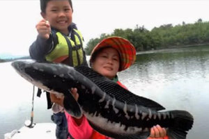 全家齐出动 钓亚洲最凶猛的淡水鱼多曼鱼 [视频]