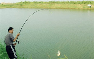 钓鱼提空竿的原因和应对技巧 - 钓鱼人